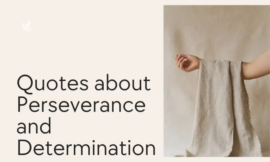 Quotes about Perseverance and Determination