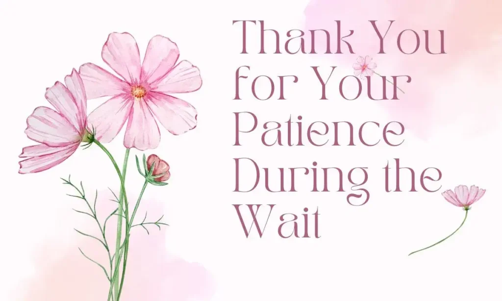 Thank You for Your Patience During the Wait